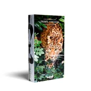 Earth: Animal Kingdom